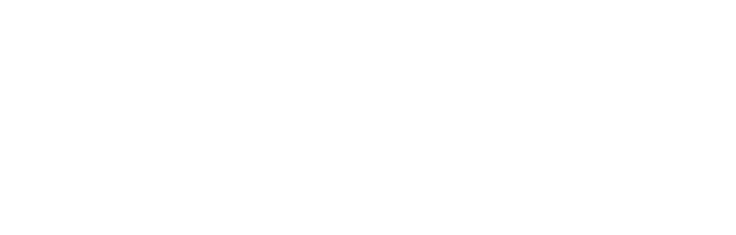 LushAITech — Lushai Technologies and Consulting Private Limited